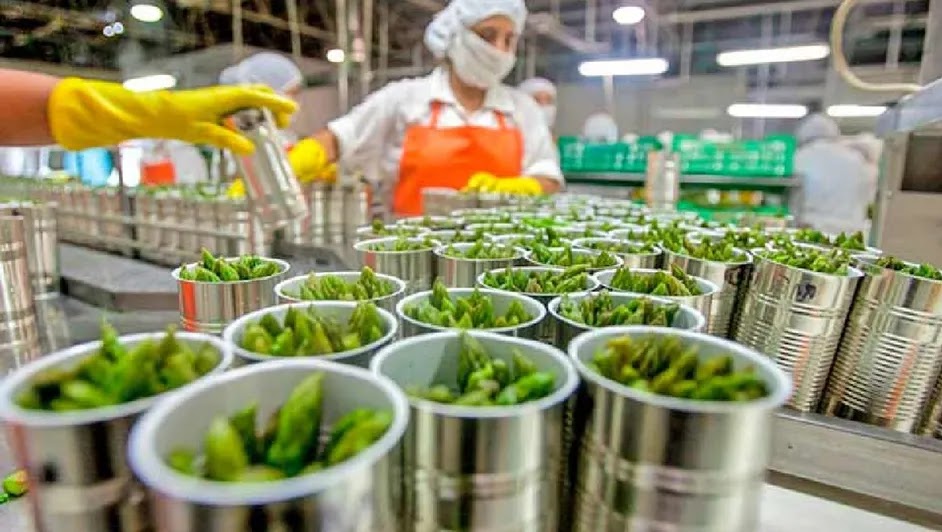 Crecen 17% las exportaciones de la industria alimentaria de Guanajuato