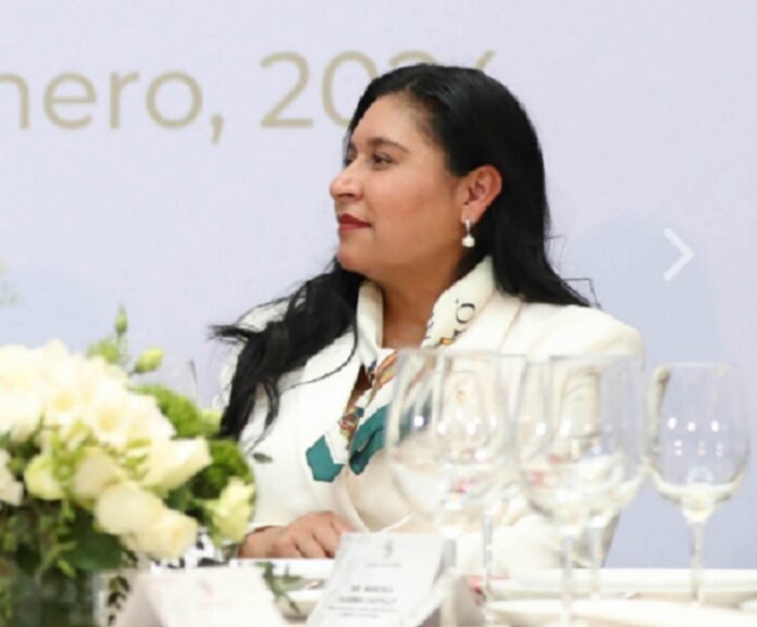Colmena, el proyecto de innovación tecnológica más importante de México, destaca Ana Lilia Rivera