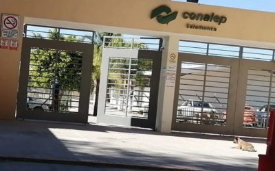 Conalep Guanajuato anuncia construcción de nuevos planteles para ampliar cobertura educativa