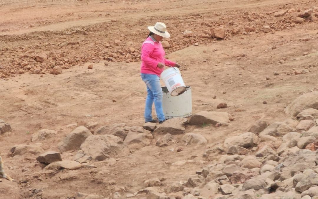 ¿Dónde se sufre más por la sequía en Guanajuato? Todo el estado carece de agua