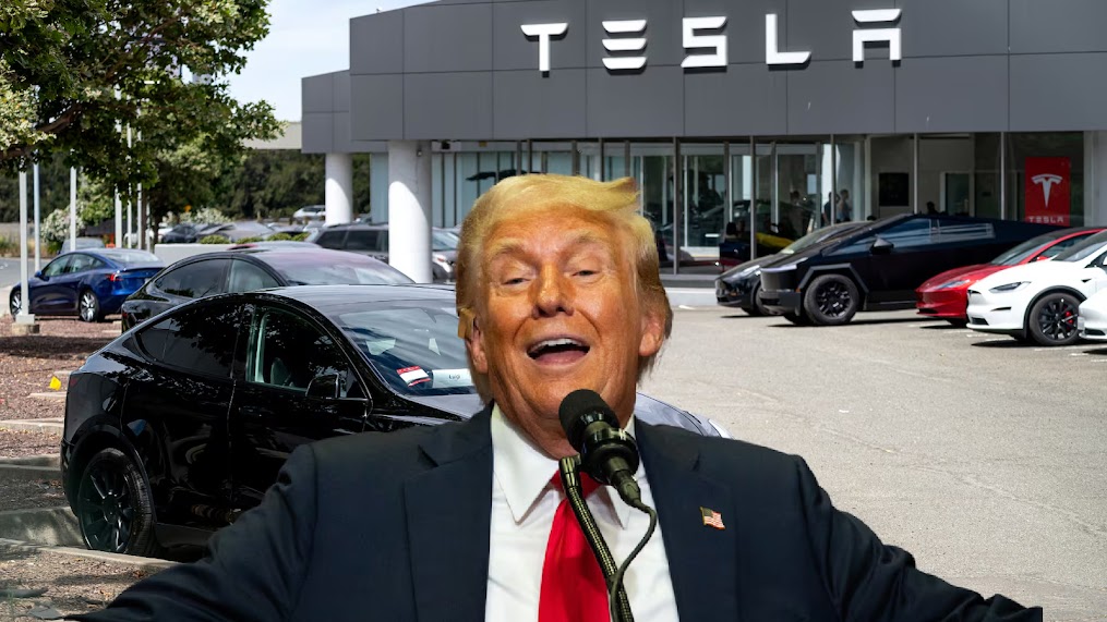 ¿Frenará la elección de Trump a Tesla en México y a nuevas inversiones automotrices? Esto dice la industria