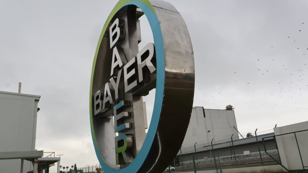 Bayer i...