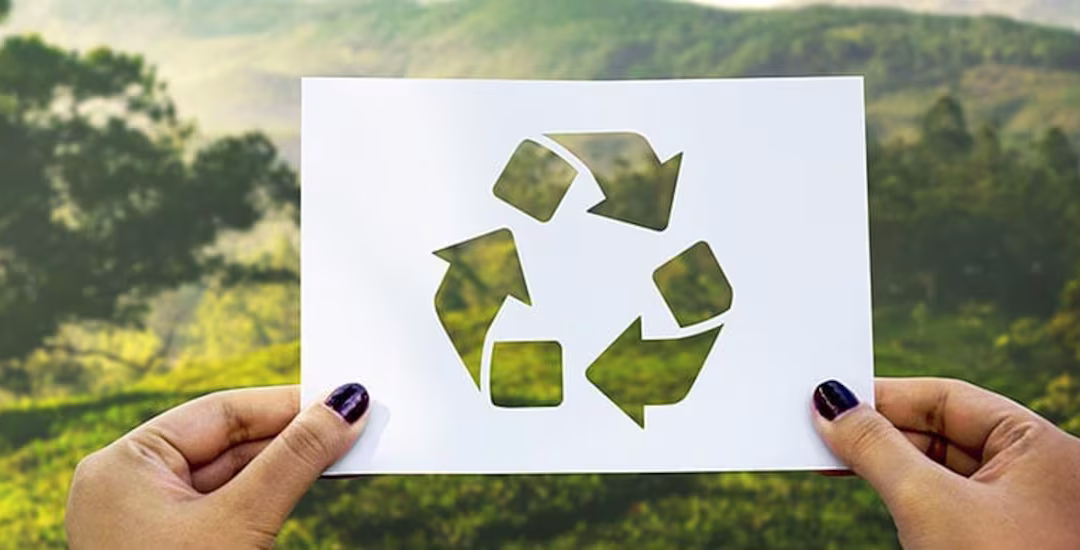 Economía circular: ¿qué innovaciones están transforman el mundo empresarial?