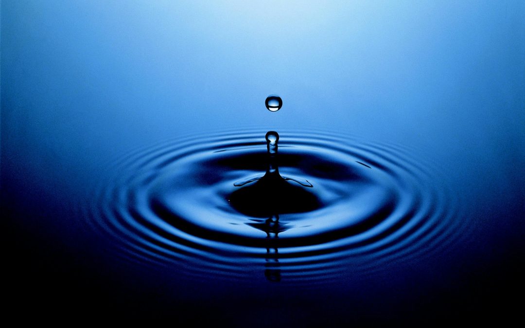 La estrategia de Ford en México que combina industria y gestión del agua