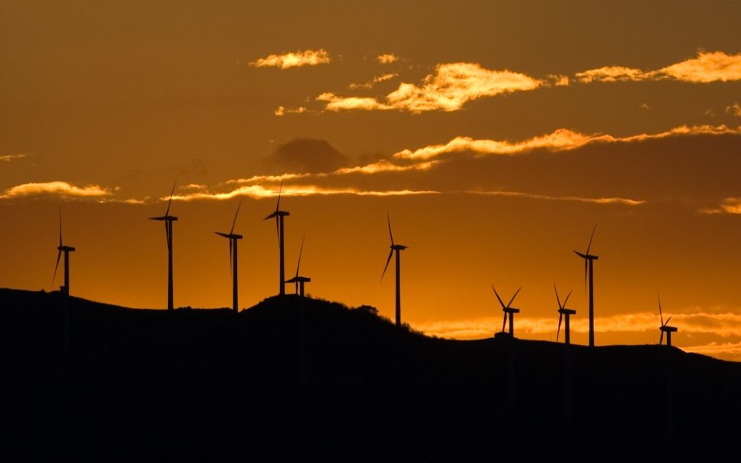 Agua, transición energética y electromovilidad: los retos que marcarán el futuro sostenible de México