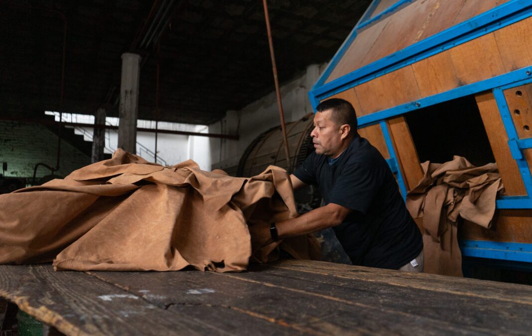 De Guanajuato para el mundo, COFOCE impulsa la exportación de MIPyMEs