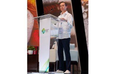 La sustitución de importaciones debe repercutir en proveeduría nacional e inversión